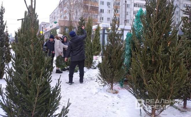 Метровую ель в Казани можно купить за 1,5 тысячи рублей