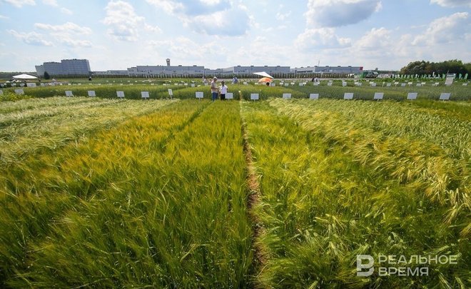 В начале октября в Татарстане сохранилась почвенная засуха