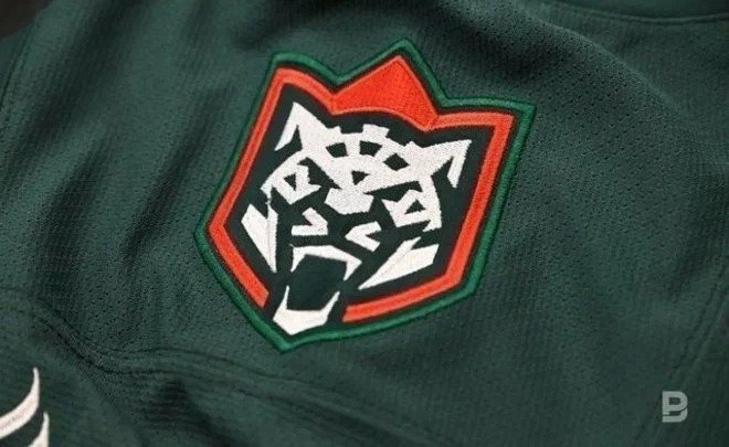 Вратарь казанского «Ак Барса» перешел в «Нефтяник»