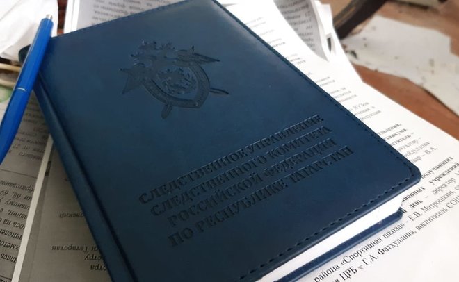 В Казани по делу о «мертвом пони» задержали директора ДЮСШ по конному спорту