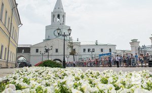 На цветочное оформление Казани в 2018 году выделили 153 млн рублей