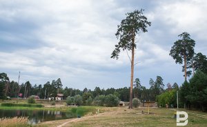 В Татарстане на обработки территорий от грызунов и клещей ежегодно выделяют около 38 млн рублей