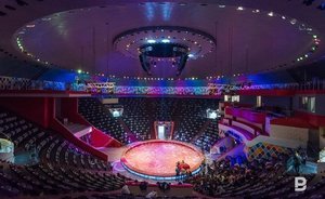 Итоги дня: новый глава Интерпола, Казанский цирк без директора и уход Castorama из России