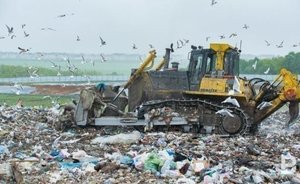 Минэкологии Татарстана опубликовало результаты экспертизы проекта МСЗ под Казанью