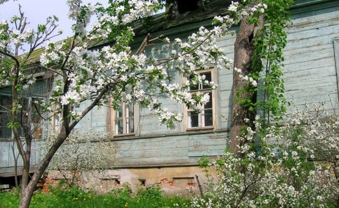 Стена в доме цветет