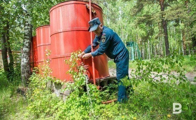 Полномочия некоторых регионов по лесоохране могут передать на федеральный уровень