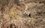 В Нижнекамске обнаружили несанкционированную свалку резиновых покрышек