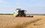 В Татарстане остался несобранным урожай зерновых с 25 тысяч га полей