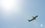 Самолет из Набережных Челнов вернулся в Бегишево вскоре после взлета