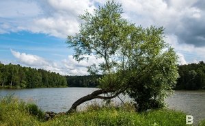 В Татарстане объявили штормовое предупреждение из-за высокой пожароопасности лесов