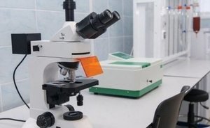 Разведка США пришла к выводу, что коронавирус не разрабатывали как биологическое оружие