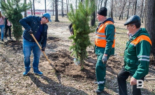 Для восстановления лесов Татарстана вырастят более 30 млн саженцев