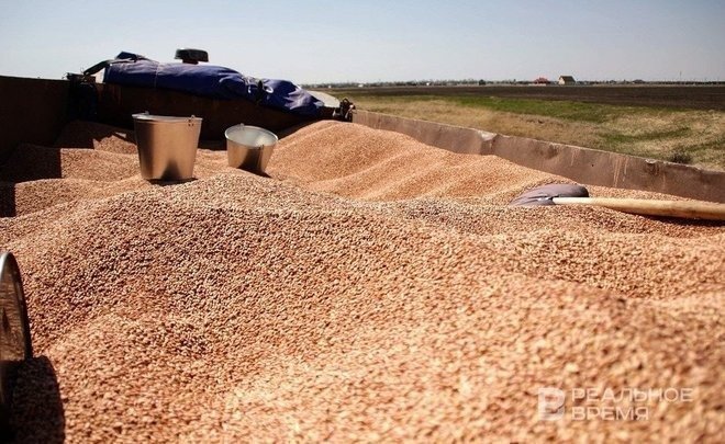 В МИД России назвали предполагаемую дату прекращения зерновой сделки
