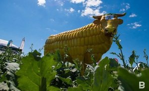 Министр сельского хозяйства РТ подвел итоги в растениеводстве