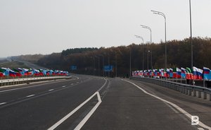 Власти Татарстана исключили противницу строительства трассы М-12 из рабочей группы