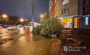 Сильный ветер в Татарстане повалил 19 деревьев, есть пострадавшие