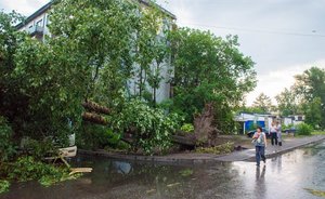 Татарстанцев предупредили о сильном ветре в ближайшие часы