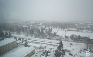 В Набережных Челнах зафиксировали превышение концентрации фенола в воздухе