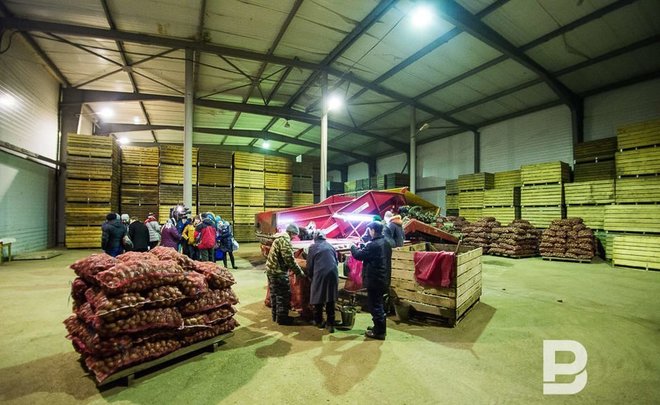 Академик Марсель Тагиров прогнозирует рекордный урожай для Татарстана