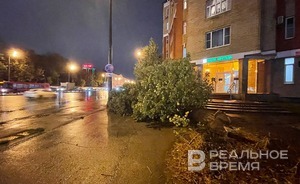 Из-за сильного ветра на улице Вишневского в Казани рухнуло дерево