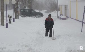 В Альметьевске на содержание территорий парков и скверов выделят 12,5 млн рублей