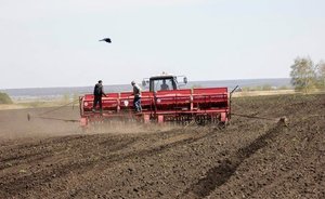 Аграрии Татарстана предрекли прибыльный год