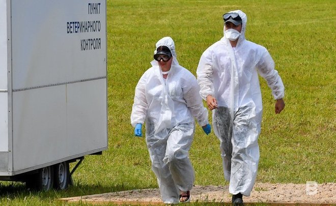 ВОЗ отменила режим чрезвычайной ситуации в мире из-за оспы обезьян