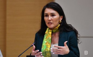 Предложения о запрете компьютерных игр детям могут не успеть подготовить к сессии Госсовета Татарстана