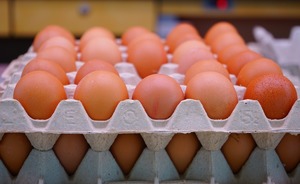 Куриные яйца подешевели в магазинах Казани на 12%