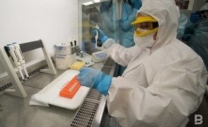 Минобороны России: в биолабораториях США на Украине вели опыты с коронавирусом летучих мышей