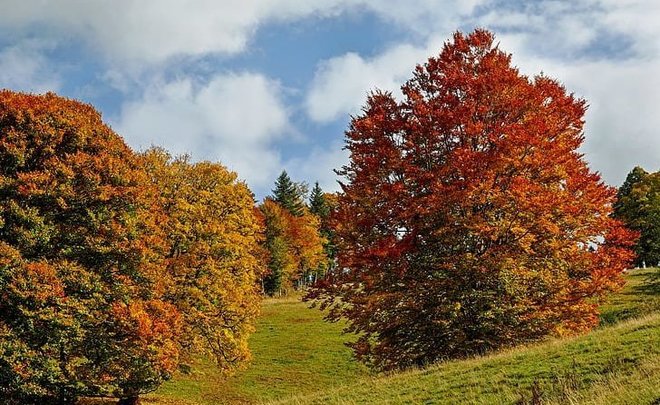 Синоптики Татарстана предсказали возвращение теплой погоды к концу недели