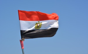 МИД Египта обвинил пять стран во вмешательстве в дела страны