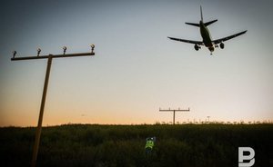 Грузинская диаспора попросила Путина восстановить авиасообщение