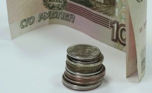 В Татарстане установили минимальный потребительский бюджет