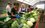Минсельхозпрод Татарстана ожидает новых поставок овощей к середине следующей недели