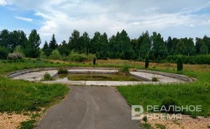 В Татарстане продлили штормовое предупреждение о высокой и чрезвычайной пожароопасности лесов