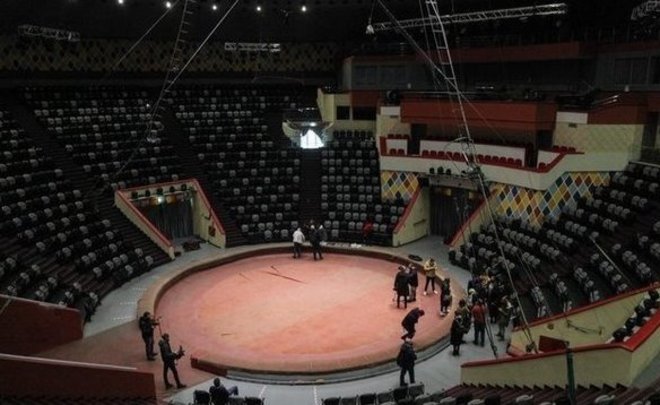 Депутат Госдумы предложил запретить диких животных в цирке после драки слонов в Казани