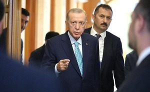 Президент Турции призвал Израиль прекратить «акции геноцида»