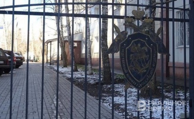 В Нижнекамске лед с крыши упал на ребенка — Следком возбудил дело