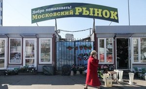 На Московском рынке Казани нашли жилые норы грызунов — он не отвечает требованиям санитарного законодательства