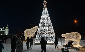 Культурные мероприятия в новогодние праздники посетили более 800 тысяч татарстанцев