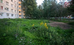 На выкашивание газонов в Альметьевске потратят 4,8 млн рублей