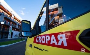 В Высокогорском районе Татарстана от падения дерева на машину из-за сильного ветра пострадала женщина