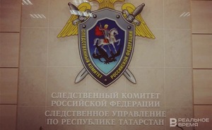 Директора татарстанской фирмы заподозрили в неуплате налогов на 46 млн рублей