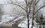 Казанский «Сайлент Хилл» — столицу Татарстана накрыло туманом