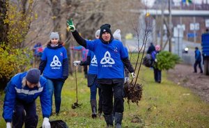 «Нижнекамскнефтехим» высадит сосновые саженцы вдоль Соболековской трассы в поддержку акции «Сад памяти»