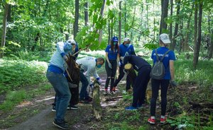 Сотрудники «Нижнекамскнефтехима» провели субботник в честь 100-летия ТАССР и Дня химика