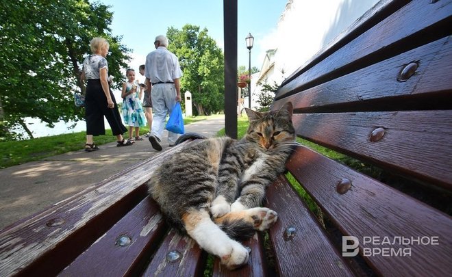 Август в Татарстане начнется с дождей и жары до +29 градусов