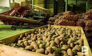 В Татарстане на приобретение минеральных удобрений в 2022 году понадобится около 15 млрд