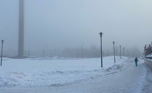 В Гидрометцентре Татарстана предупредили о метели с ухудшением видимости и гололедице